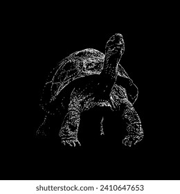 galapagos tortoise hand drawing vector isolated on black background.