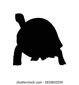 Galapagos Tortoise Silhouette Vector Illustration