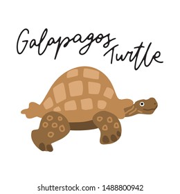 Galapagos turtle vector illustration clipart. Kids design poster. Wild animal drawing in scandinavian style. Handwritten lettering. Exotic wildlife. 