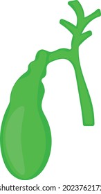 gall bladder Concept, cholecyst Vector color Icon Design, Organ System Symbol, Human Anatomy Sign, Human Body Parts Stock illustration