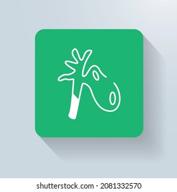 Gall Bladder Disease Icon Vector Design