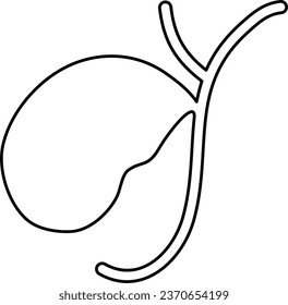 Gall Bladder Human Organ Esquema Ilustración Vector Aislado