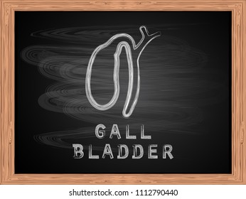 Gall Bladder Icon On Blackboard Flat Design Vector Illustration.