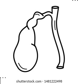 Gall Bladder Icon In Outline Style. 