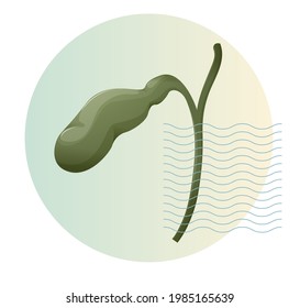 Gall Bladder Icon Stock Illustration As EPS 10 File