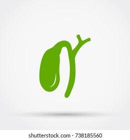 Gall Bladder Vector Icon.