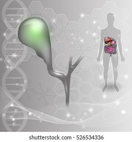 Gallbladder anatomy abstract scientific background and human silhouette internal organs 
