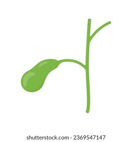 Gallbladder flat vector illustration isolated on white background