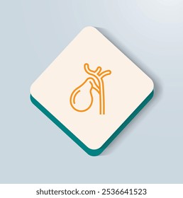 Gallbladder Health Recognizing Symptoms and Preventing Complications