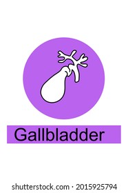 Gallbladder Human internal orange icon-set.line art,doodle for background,study. Isolate on white background. Vector illustration.