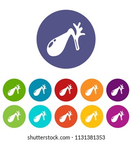 Gallbladder icons color set vector for any web design on white background