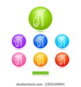 Gallbladder icons for health care ads or website. Medical Icon human organ with exclamation check question mark, cross and thunder. Ball round 3d isolated on white background. Vector EPS10.