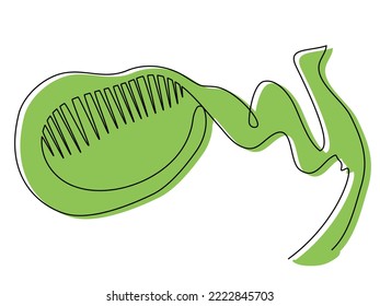 Gallbladder in one line with a green silhouette on a white background. Concept of human organs. Stock vector illustration of human health and disease.