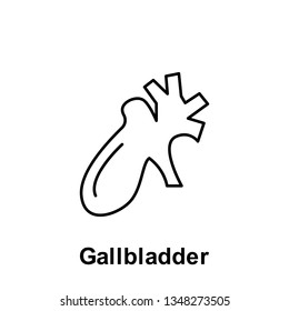 Gallbladder, organ icon. Element of human organ icon. Thin line icon for website design and development, app development. Premium icon