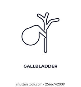 gallbladder outline icon. Linear vector from medical concept. Thin line gallbladder icon isolated on white background