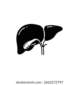 Gallbladder Under Liver with Duct for Digestive Anatomy