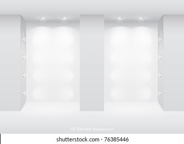 Gallery Interior with empty niches and lights