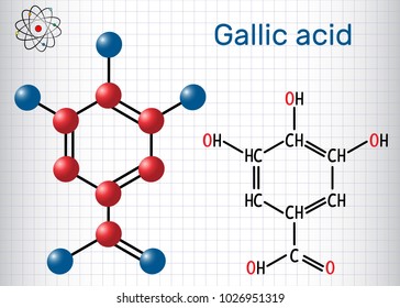 Gallic acid (trihydroxybenzoic acid) molecule, is phenolic acid. Sheet of paper in a cage.Structural chemical formula and molecule model. Vector illustration
