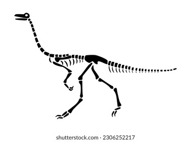 Gallimimus skeleton . Silhouette dinosaurs . Side view . Vector .