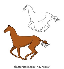The gallop of the horse outline and color pattern, vector illustration on white background