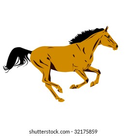 galloping arab horse vector