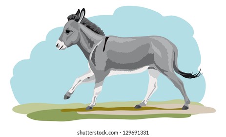 galloping donkey on grass bottom