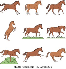 Galloping Horse Character and Activity Illustrations