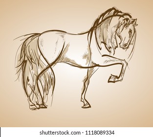 Galloping horse. Hand-drawn illustration