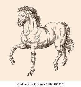 Galloping horse with harness isolated on beige background.
