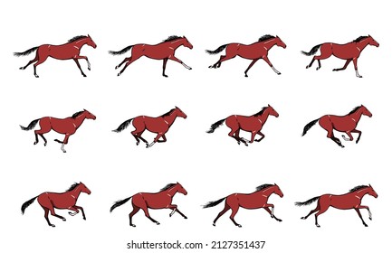 Caballo galopante o mustang. Cubierta de color de la bahía pony corriendo el ciclo de la silueta. Posiciones clave establecidas. Movimiento de galopa de ecuador de bucle. Caricatura de dibujos animados aislados de forma manual. Colección ecuestre