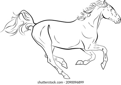 814 Prancing black stallion Images, Stock Photos & Vectors | Shutterstock