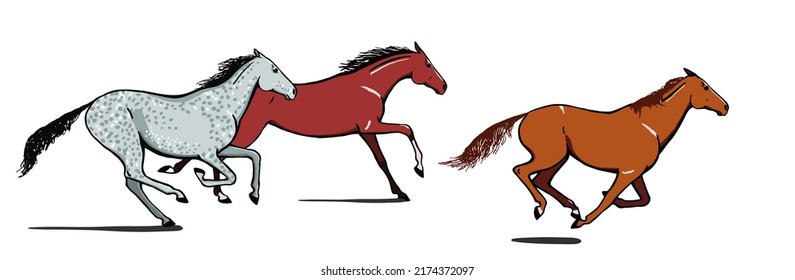 Galloping Horse Or Pony Group. Running Or Stampeding Herd Of Wild Mustang Set. Equine Gallop Motion. Isolated Vector Hand Drawn Animation Cartoon Equestrian Collection