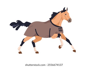 Galloping horse. Stallion wearing protection blanket in motion, action. Purebred equine animal in movement, running, covered with clothing. Flat vector illustration isolated on white background