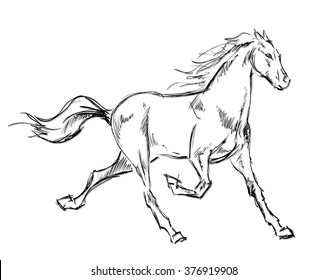 Galloping horses. Hand-drawn illustration