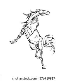 Galloping horses. Hand-drawn illustration