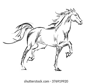 Galloping horses. Hand-drawn illustration