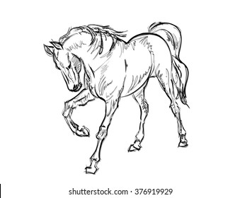 Galloping horses. Hand-drawn illustration