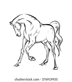 Galloping horses. Hand-drawn illustration