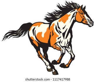 galloping wild horse. Pinto colored pony mustang .Isolated vector illustration