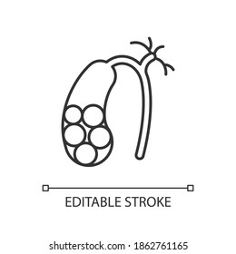 Lineares Gallstones Symbol. Cholelithiasis. Ablagerungen gehärteter Galle. Festes Material in Gallenblase. Dünne, anpassbare Illustration. Contour-Symbol. Vektor-einzelne Rahmenzeichnung. Bearbeitbarer Hub