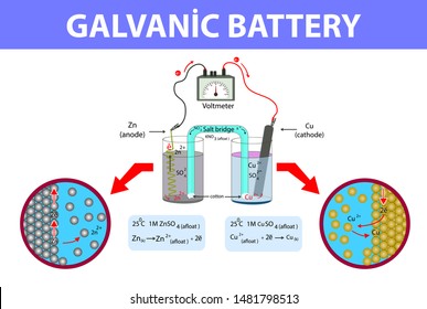 galvanic battery. volta battery. chemistry lesson galvanic battery.  galvanic battery infographic