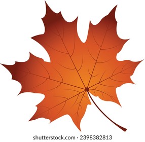 gambar daun maple yang terjatuh saat musim gugur