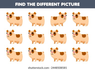 Game for children find the different picture of cute cartoon guinea pig printable pet worksheet