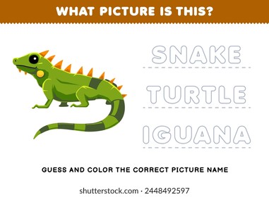 Game for children guess and color the correct picture of cute iguana printable pet worksheet