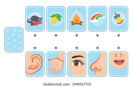 Game for kids. Cards. Five senses. Sight, touch, hearing, smell and taste. Preschool worksheet activity. Match of sense organs and objects