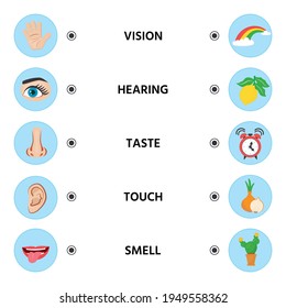 Game for kids. Five senses. Sight, touch, hearing, smell and taste. Preschool worksheet activity. Match of sense organs and objects