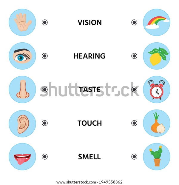 Game Kids Five Senses Sight Touch Stock Vector (Royalty Free) 1949558362