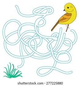 Game labyrinth find a way bird vector illustration