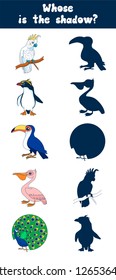 Game map for preschool children "guess the silhouette". Images of birds: cockatoo parrot, penguin, Toucan, Pelican, peacock. Vector