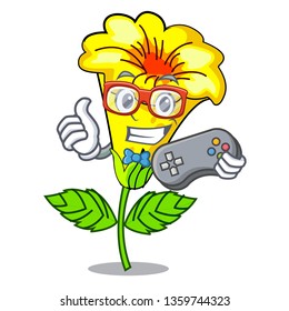Gamer allamanda flowers in a cartoon pots